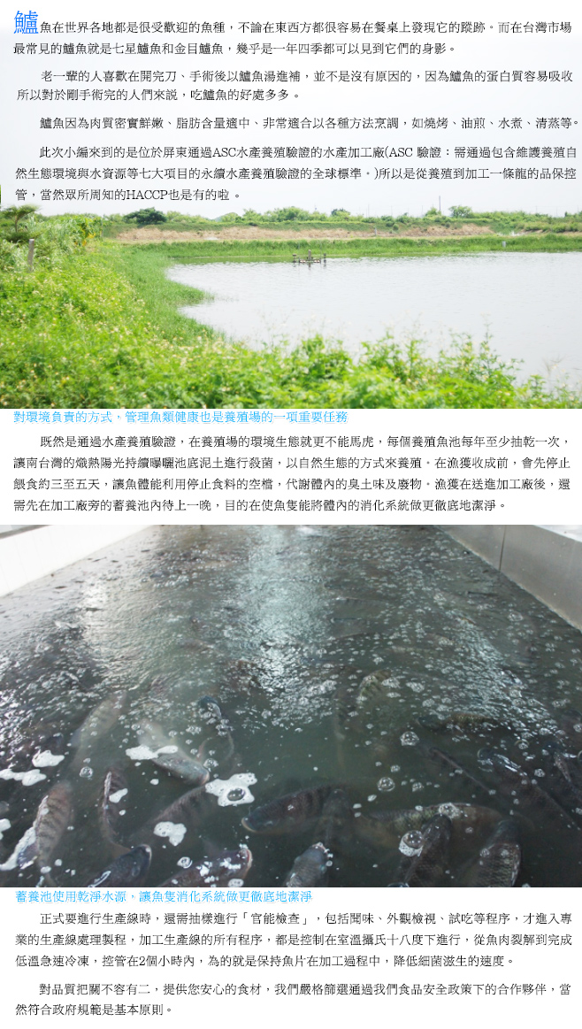 七星鱸魚片