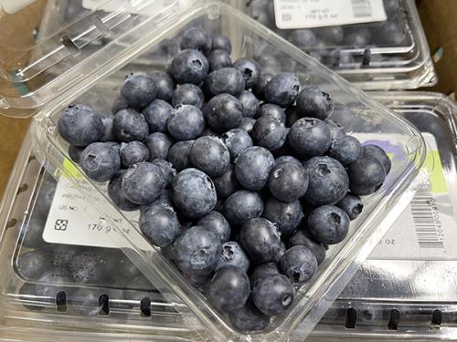 (預購)新鮮直送─美國有機藍莓(6盒/箱)預計7/18出貨